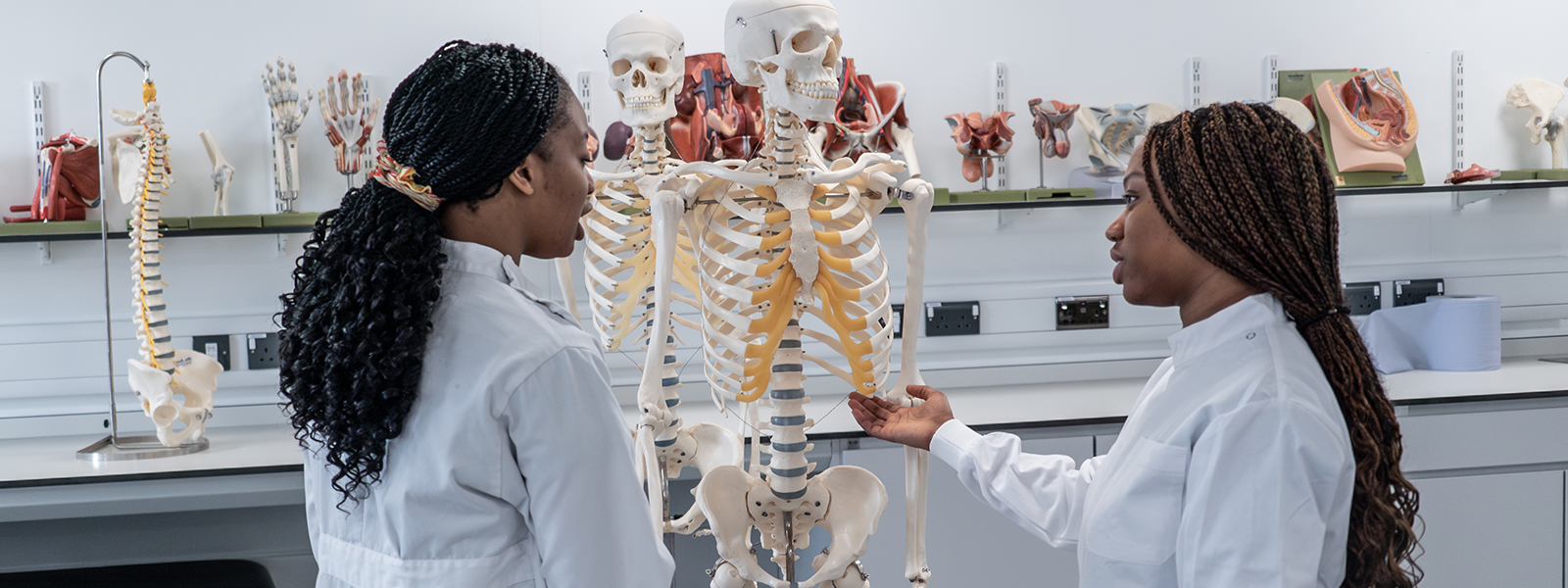 Students studying a skeleton