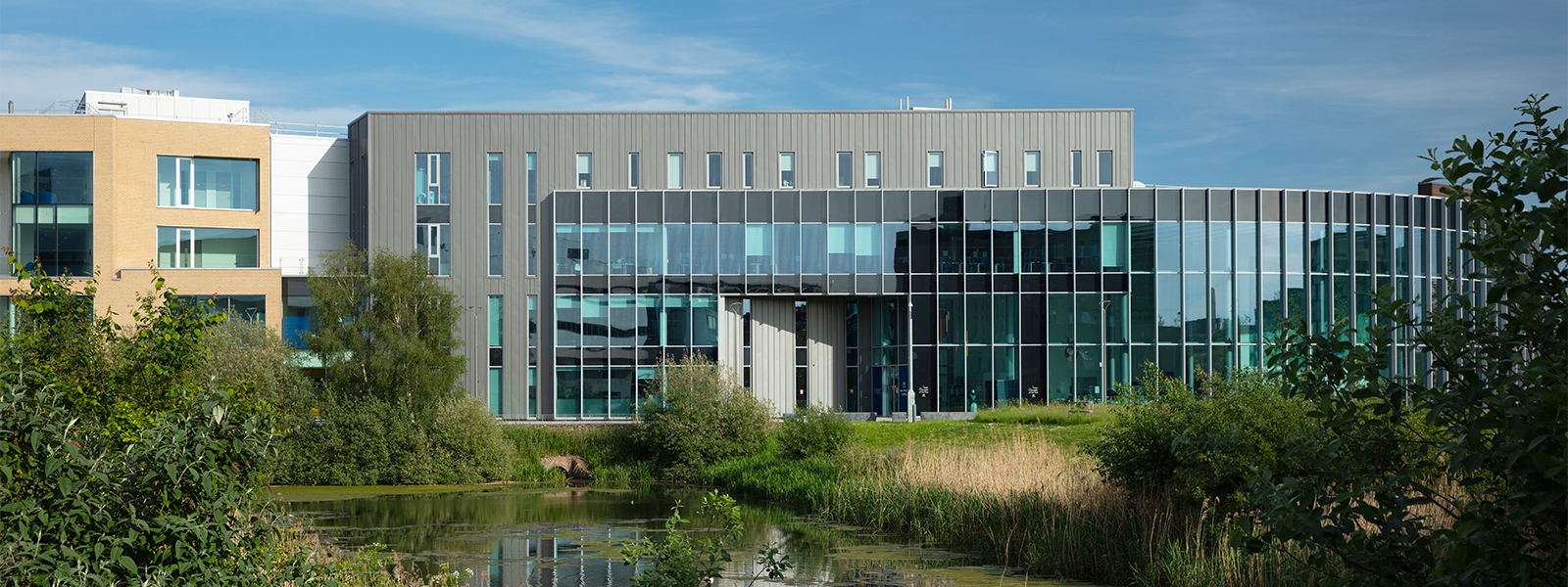 Delph Pond and Isaac Newton Building